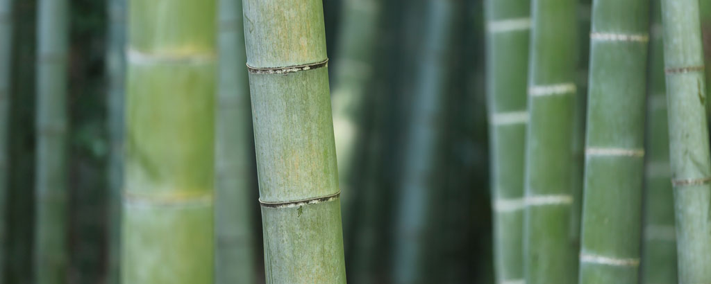 Bambusviskose